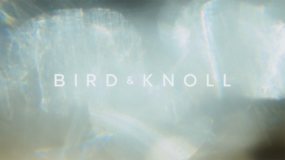 Bird & Knoll